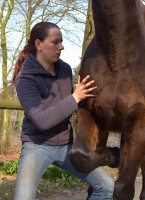 /album/portfolio-osteopatie/img-9212-1-jpg/